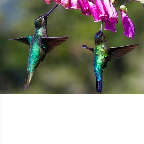 Meet your Posher, J - Picture 1 of 1